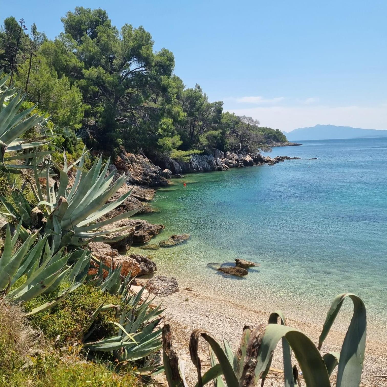 Vakantiehuis Robinson Crusoe House