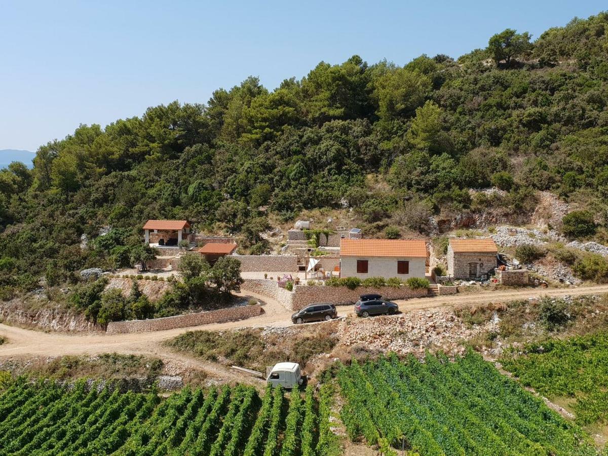 Robinson Crusoe House Vakantiehuis Zastražišće